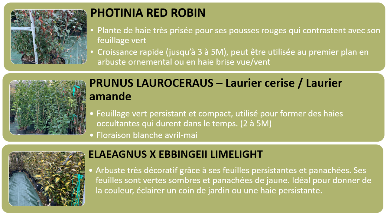 PEPINIERE DES ASPRES GRASSE 2024 ALPES MARITIMES JARDINERIE