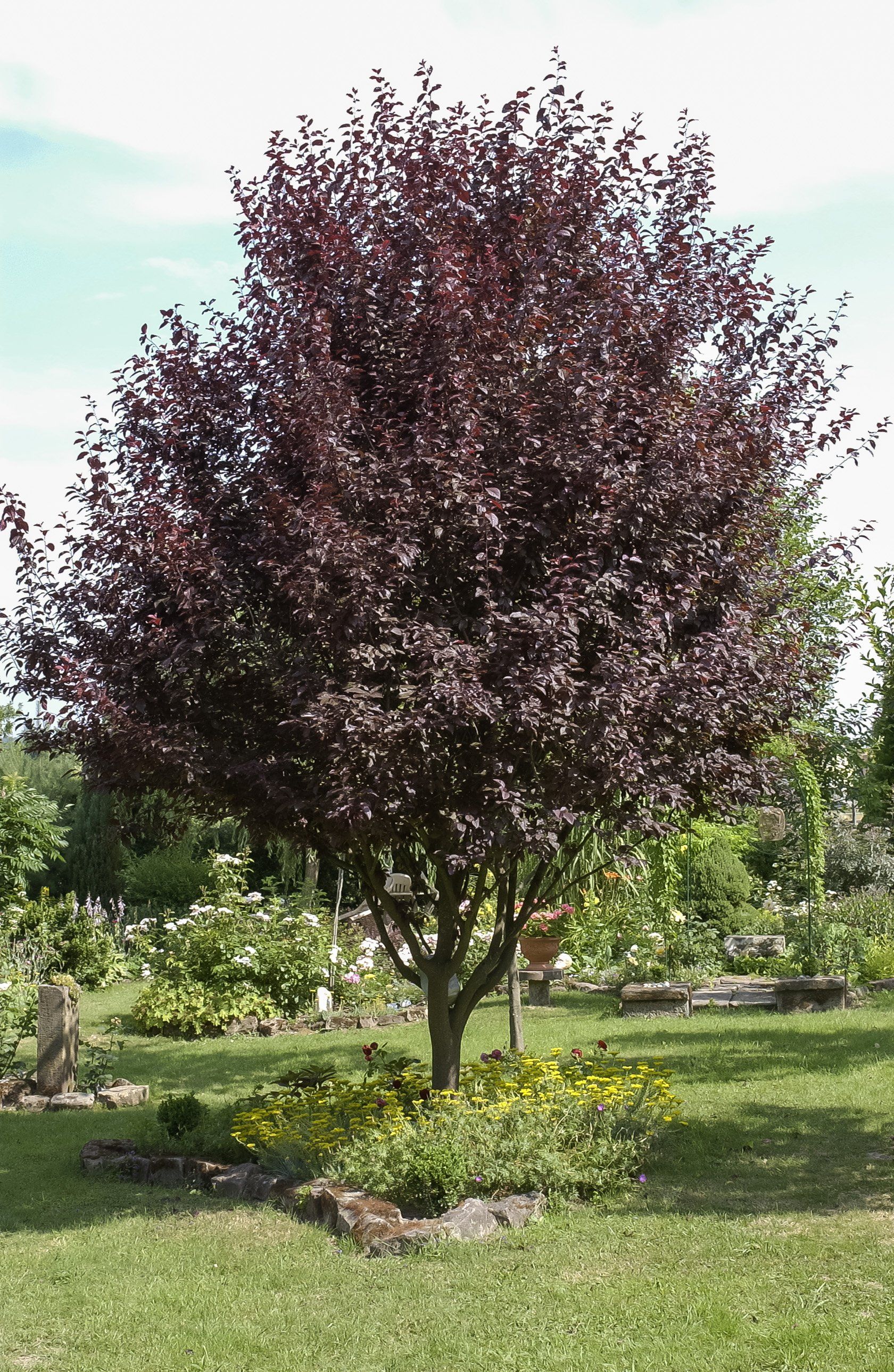 ASPRES GRASSE KINDERGARTEN 2025