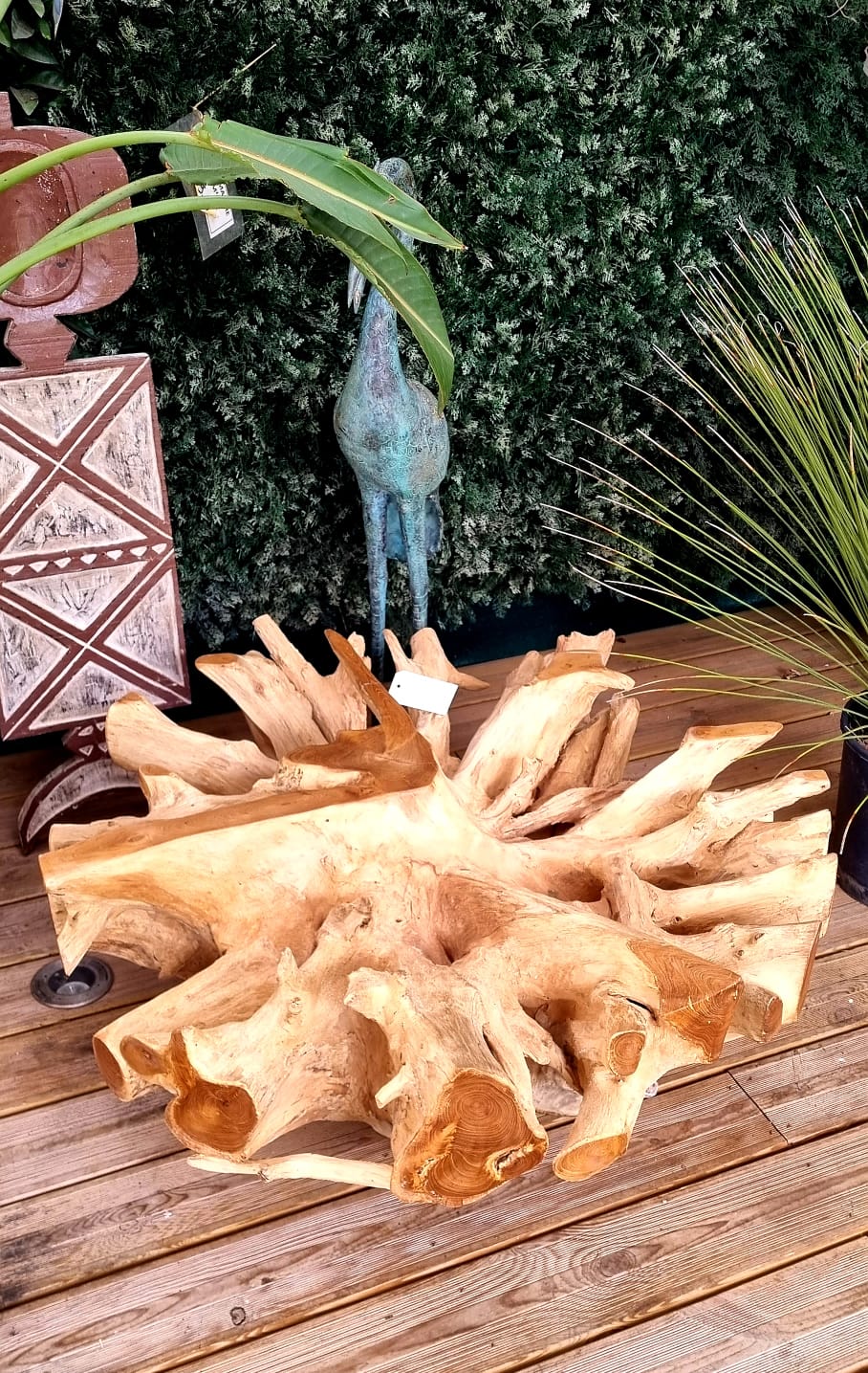 pepiniere jardinerie alpes maritimes 2025 2024 pepinière des aspres jardiner grasse