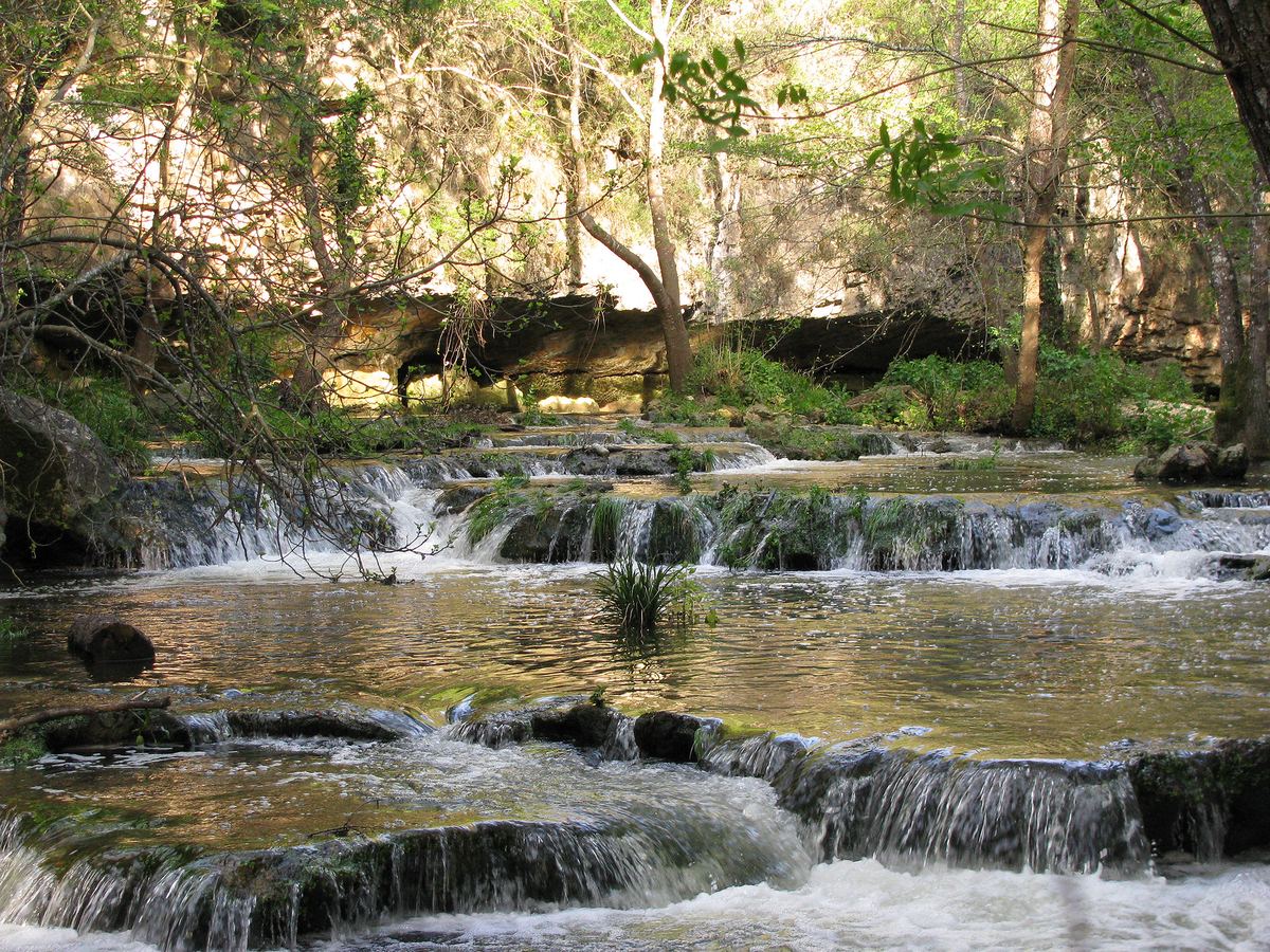 PEPINIERE DES ASPRES GRASSE 2024 ALPES MARITIMES JARDINERIE