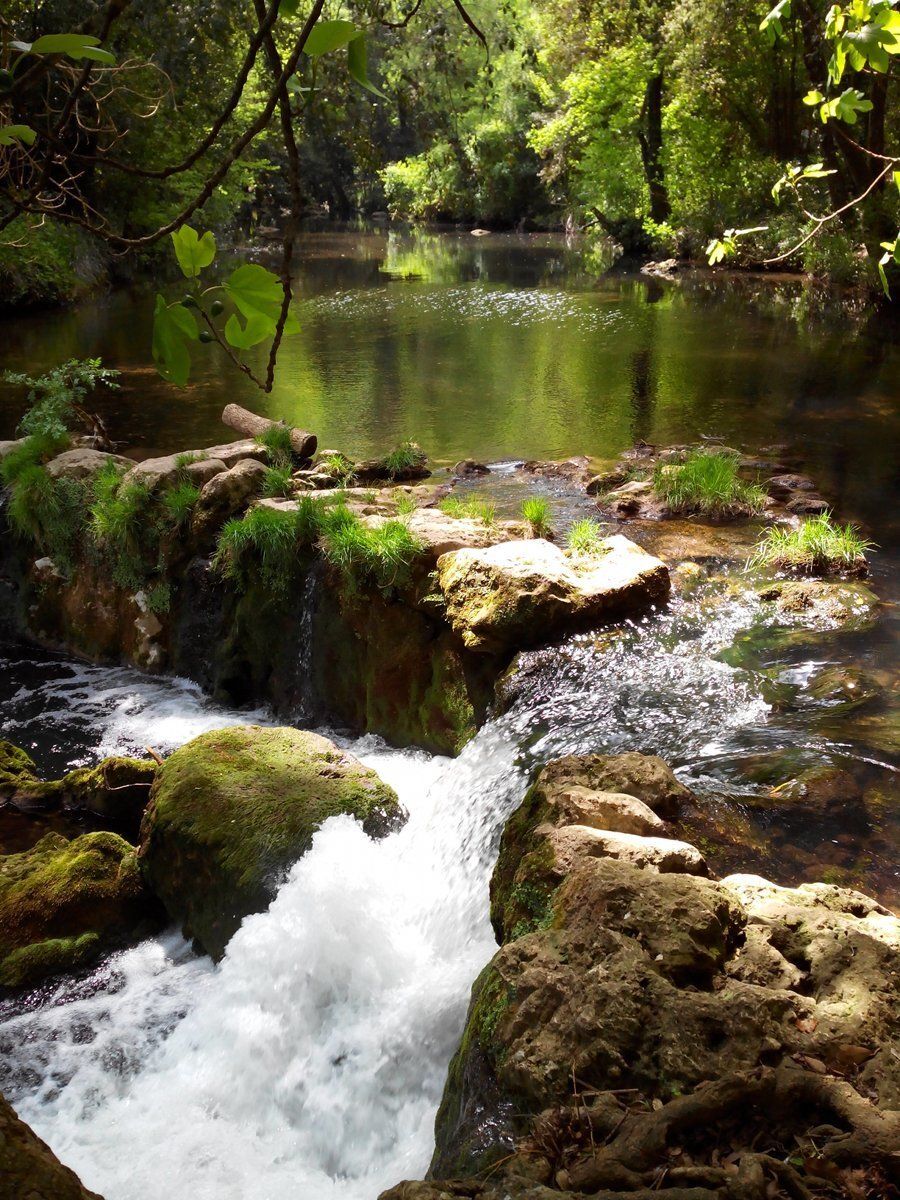 PEPINIERE DES ASPRES GRASSE 2024 ALPES MARITIMES JARDINERIE