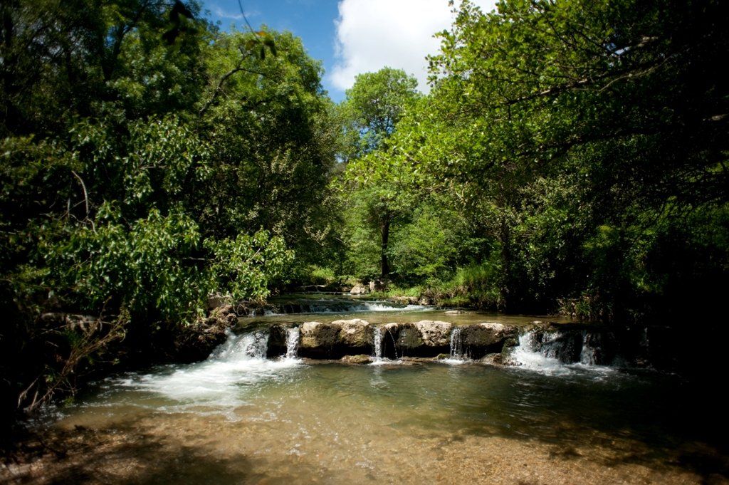PEPINIERE DES ASPRES GRASSE 2024 ALPES MARITIMES JARDINERIE
