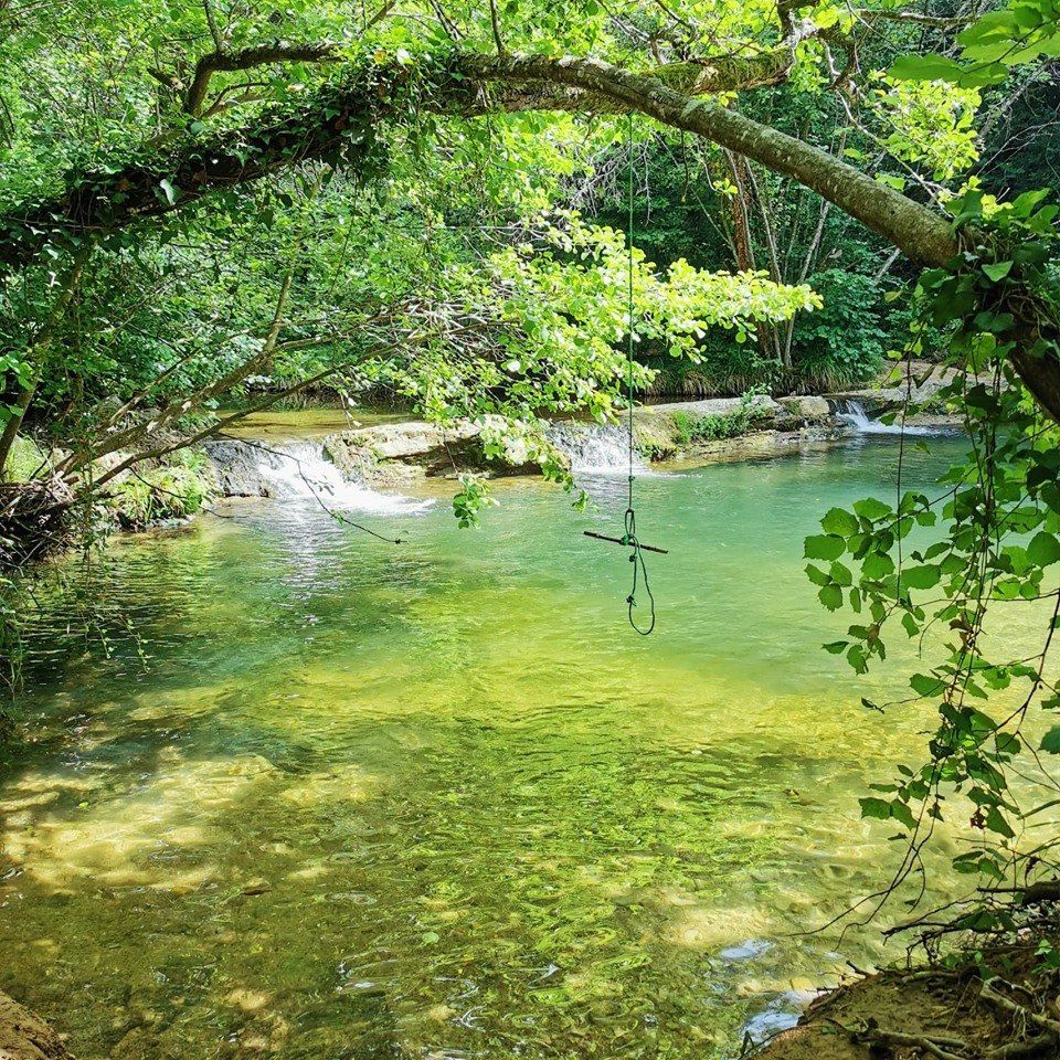 PEPINIERE DES ASPRES GRASSE 2024 ALPES MARITIMES JARDINERIE