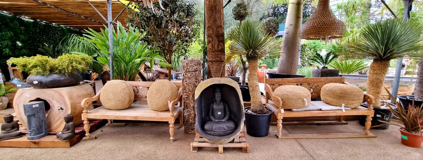 pepiniere jardinerie alpes maritimes 2025 2024 pepinière des aspres jardiner