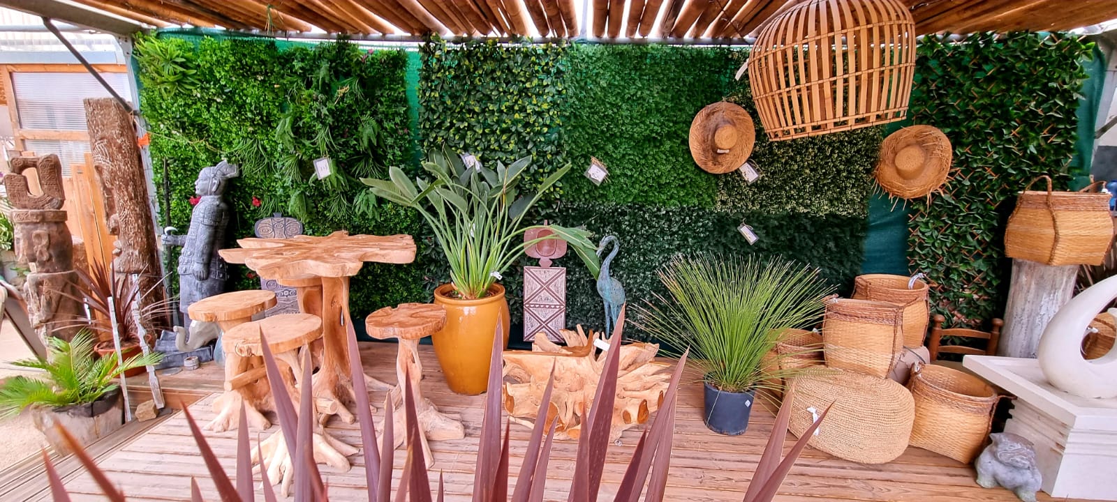 pepiniere jardinerie alpes maritimes 2025 2024 pepinière des aspres jardiner grasse