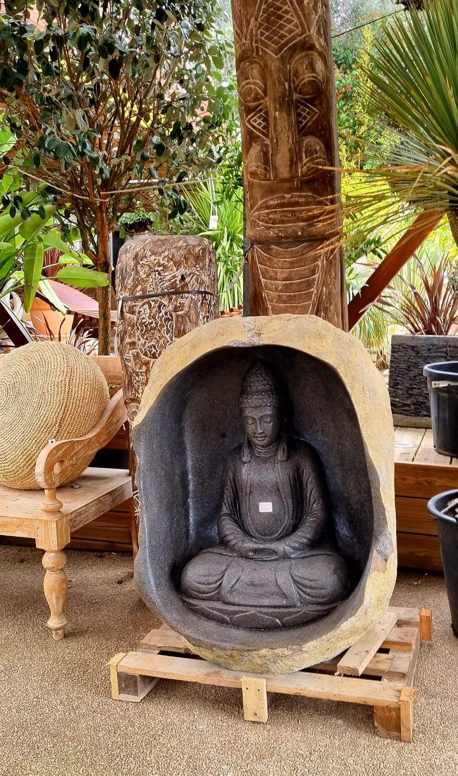 PEPINIERE DES ASPRES GRASSE 2024 ALPES MARITIMES JARDINERIE