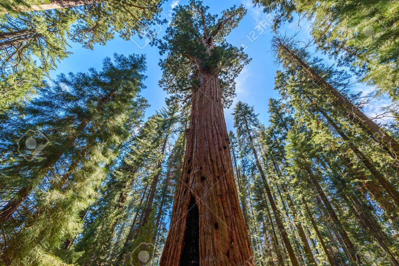 VÆRKESTILLING AF ASPRES GRASSE 2025 ALPES MARITIMES