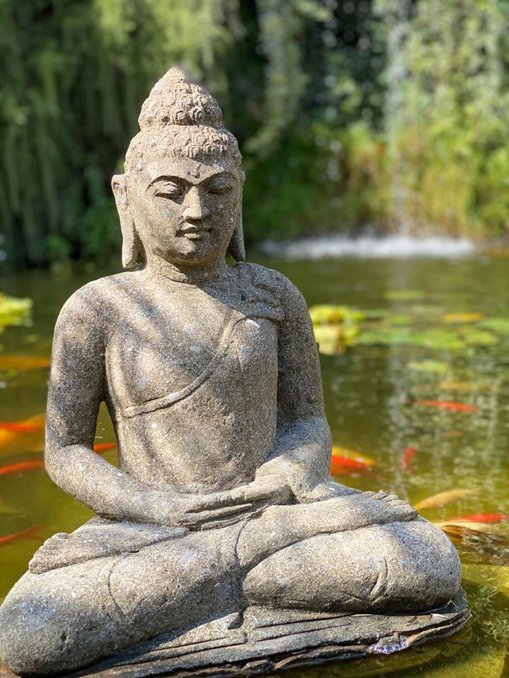 PEPINIERE DES ASPRES GRASSE 2024 ALPES MARITIMES JARDINERIE