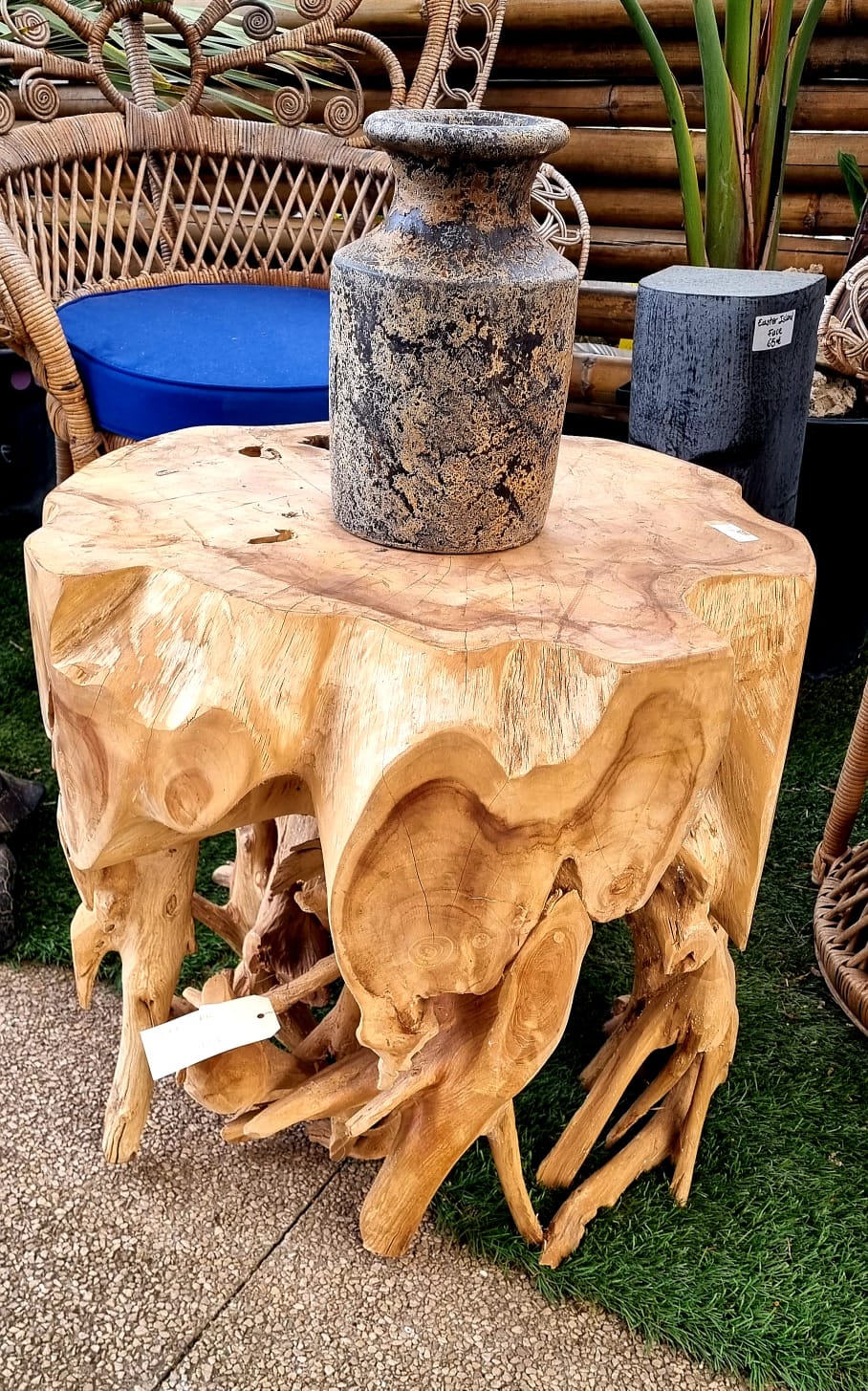 PEPINIERE DES ASPRES GRASSE 2024 ALPES MARITIMES JARDINERIE