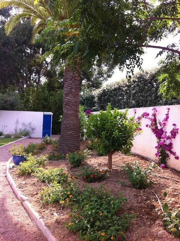 PEPINIERE DES ASPRES GRASSE 2024 ALPES MARITIMES JARDINERIE