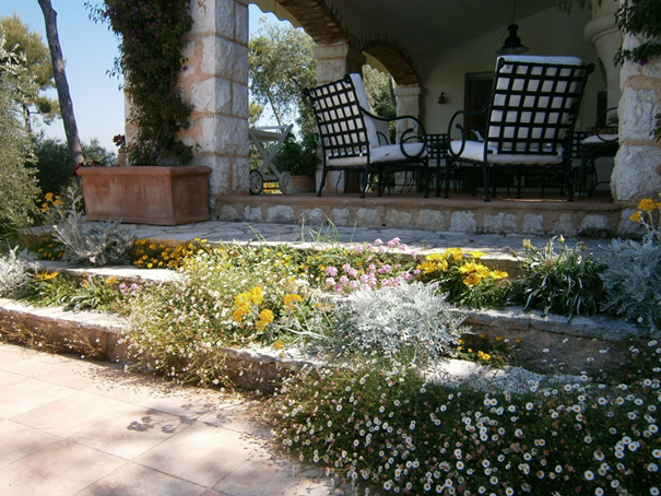 PEPINIERE DES ASPRES GRASSE 2024 ALPES MARITIMES JARDINERIE