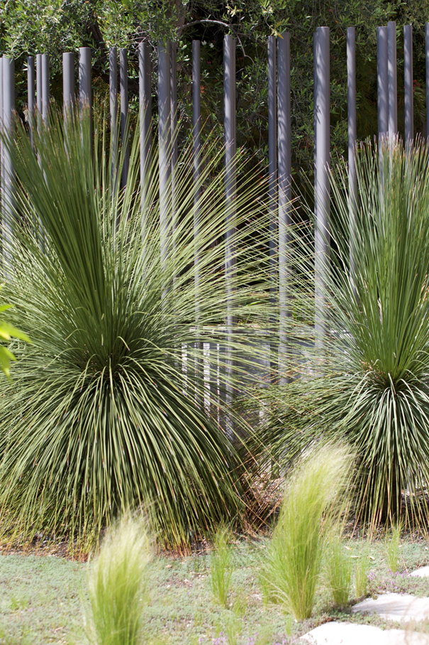 PEPINIERE DES ASPRES GRASSE 2024 ALPES MARITIMES JARDINERIE