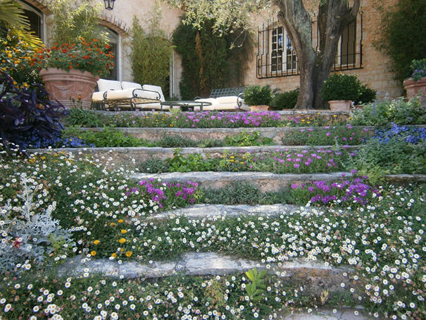 PEPINIERE DES ASPRES GRASSE 2024 ALPES MARITIMES JARDINERIE