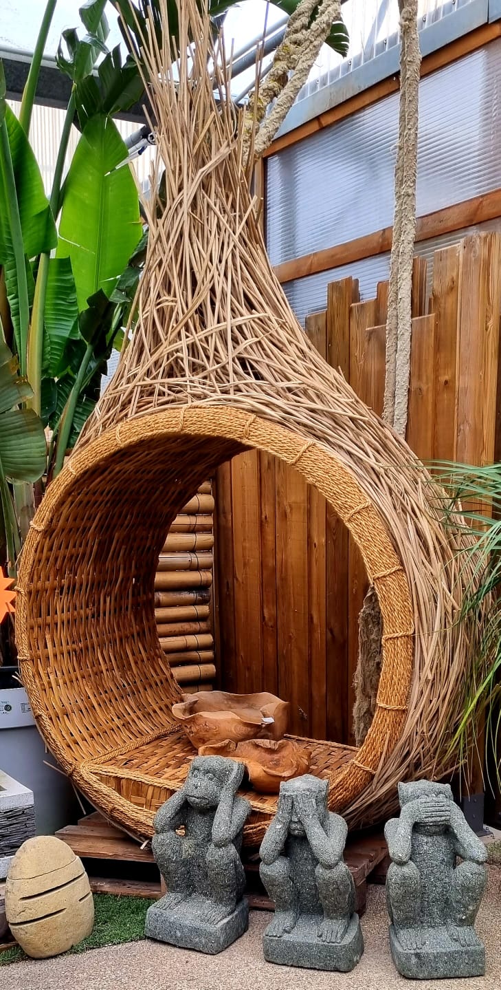 PEPINIERE DES ASPRES GRASSE 2024 ALPES MARITIMES JARDINERIE