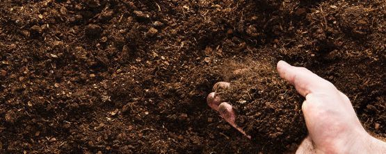 PEPINIERE DES ASPRES GRASSE 2024 ALPES MARITIMES JARDINERIE