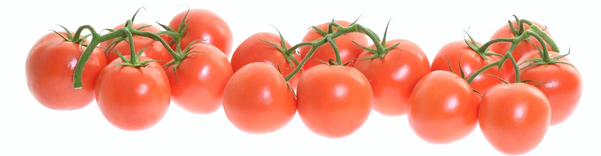 PEPINIERE DES ASPRES GRASSE 2024 ALPES MARITIMES JARDINERIE