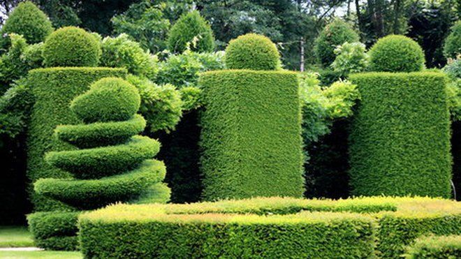 PEPINIERE DES ASPRES GRASSE 2024 ALPES MARITIMES JARDINERIE