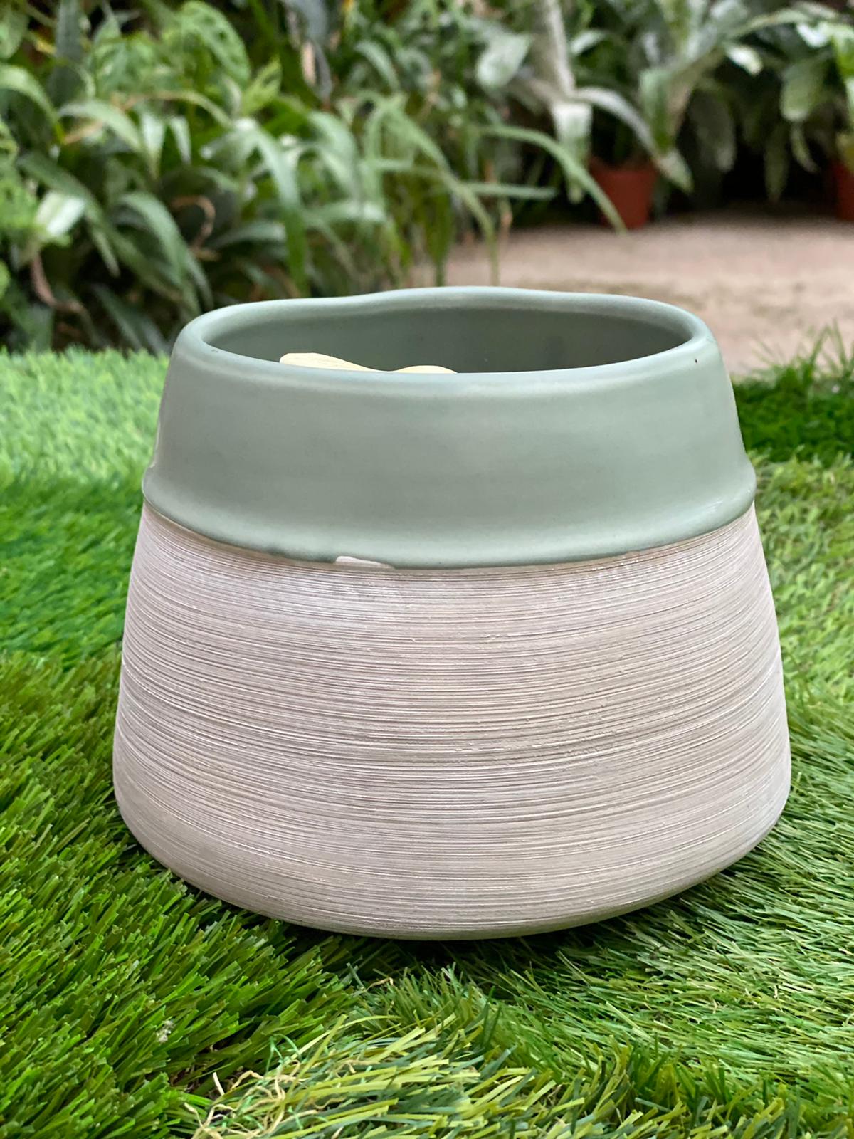 PEPINIERE DES ASPRES GRASSE 2024 ALPES MARITIMES JARDINERIE