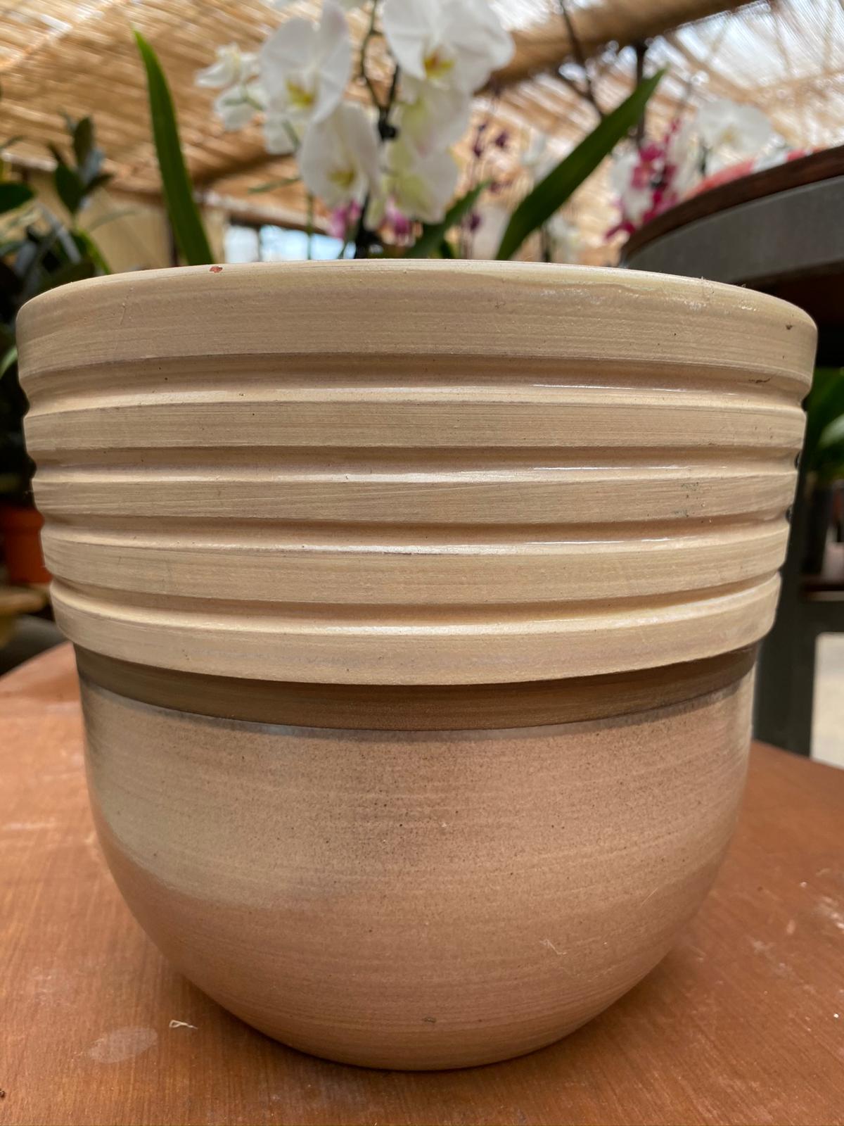 PEPINIERE DES ASPRES GRASSE 2024 ALPES MARITIMES JARDINERIE