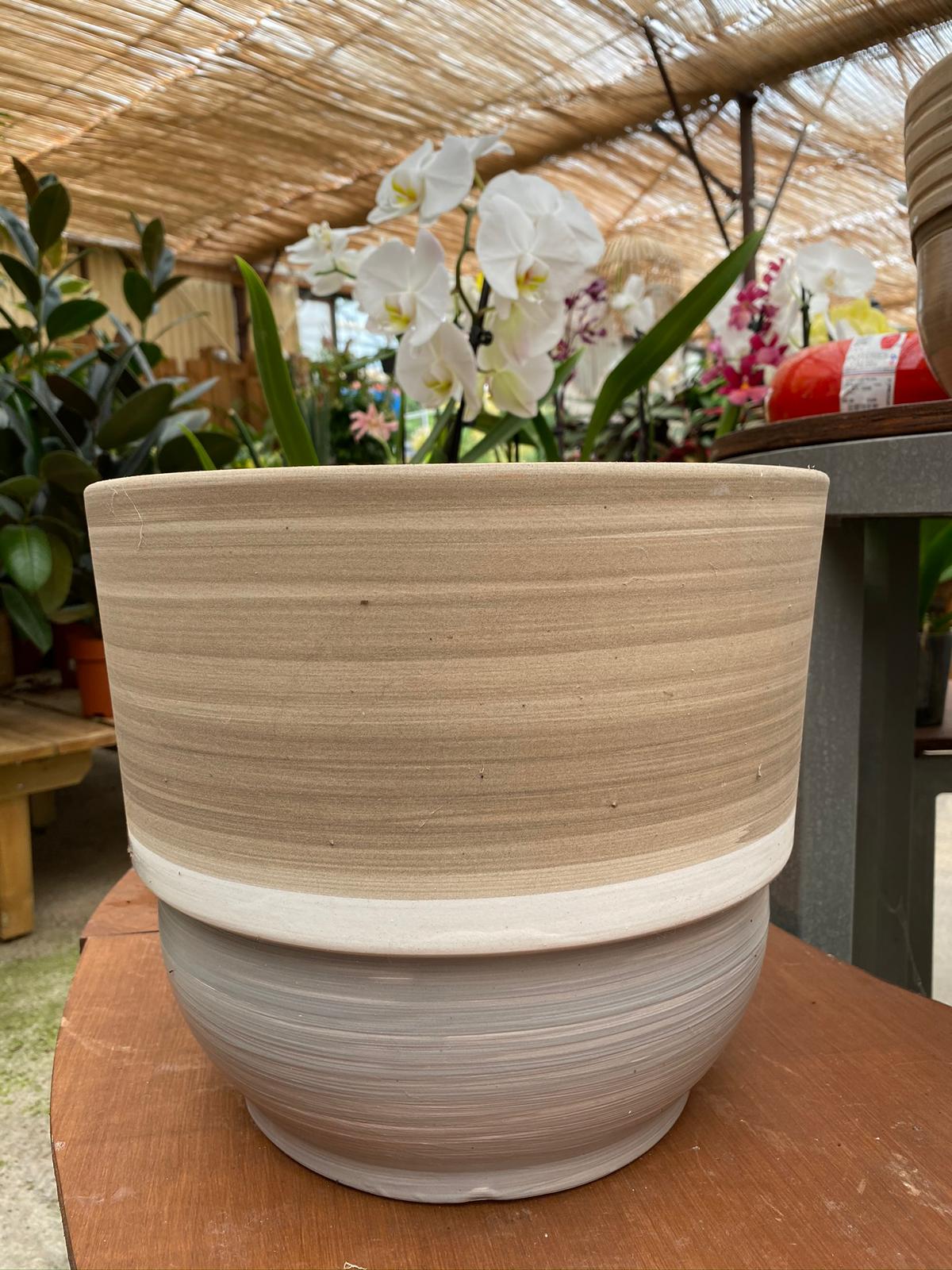 PEPINIERE DES ASPRES GRASSE 2024 ALPES MARITIMES JARDINERIE