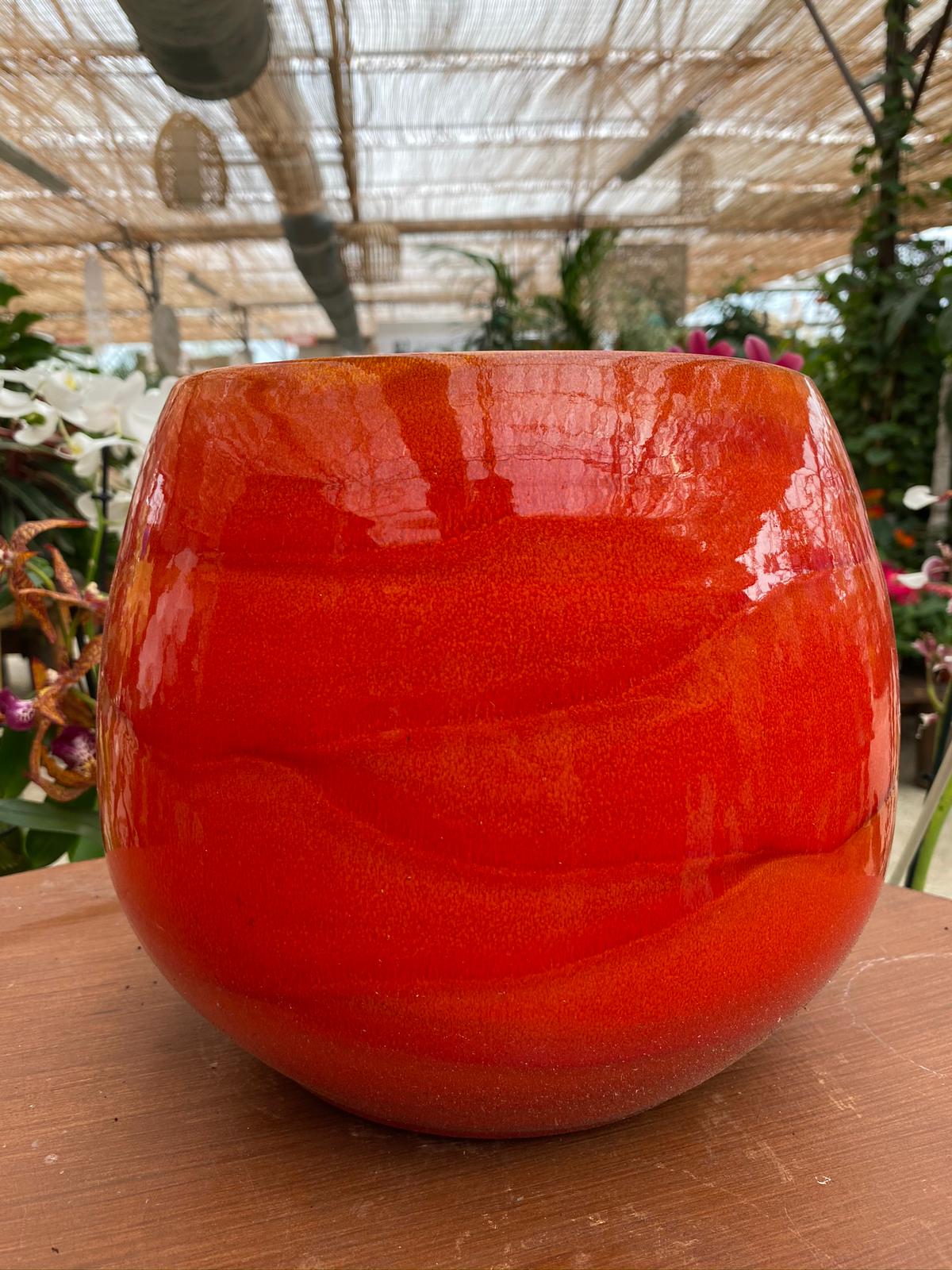 PEPINIERE DES ASPRES GRASSE 2024 ALPES MARITIMES JARDINERIE