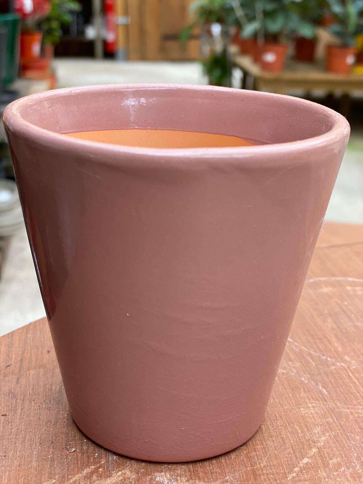 PEPINIERE DES ASPRES GRASSE 2024 ALPES MARITIMES JARDINERIE