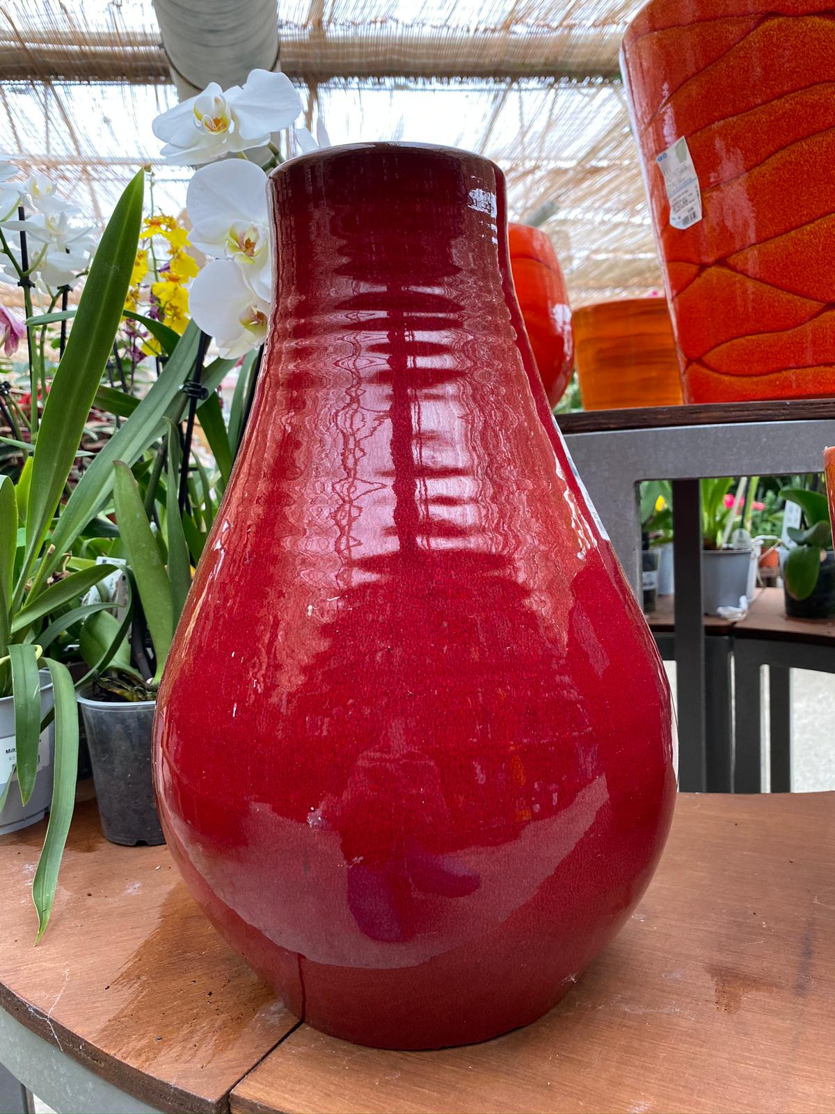 PEPINIERE DES ASPRES GRASSE 2024 ALPES MARITIMES JARPEPINIERE DES ASPRES GRASSE 2024 ALPES MARITIMES JARDINERIEDINERIE