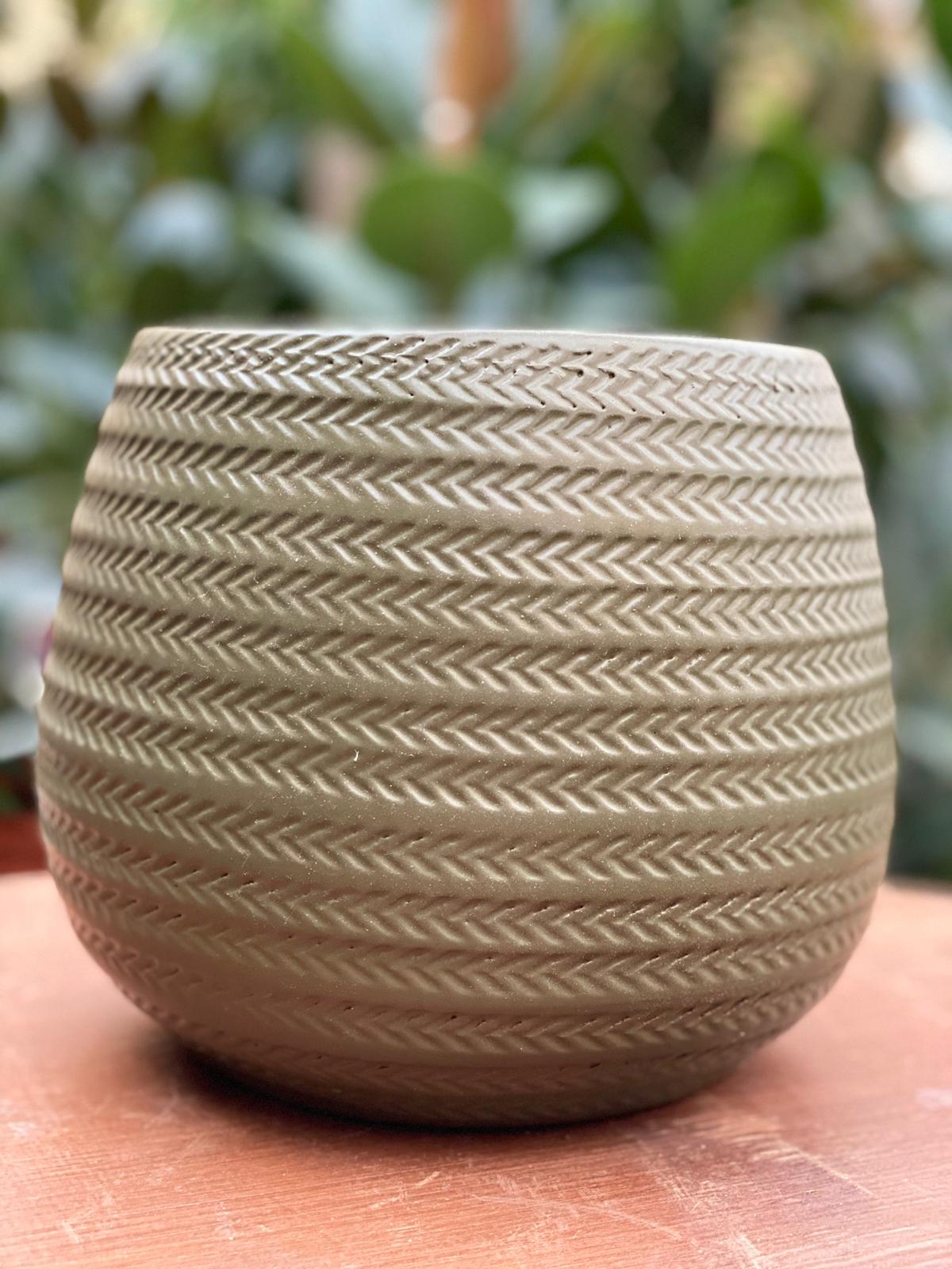 PEPINIERE DES ASPRES GRASSE 2024 ALPES MARITIMES JARDINERIE