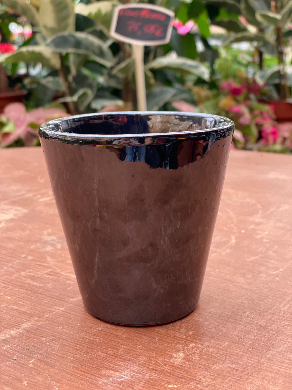 PEPINIERE DES ASPRES GRASSE 2024 ALPES MARITIMES JARDINERIE