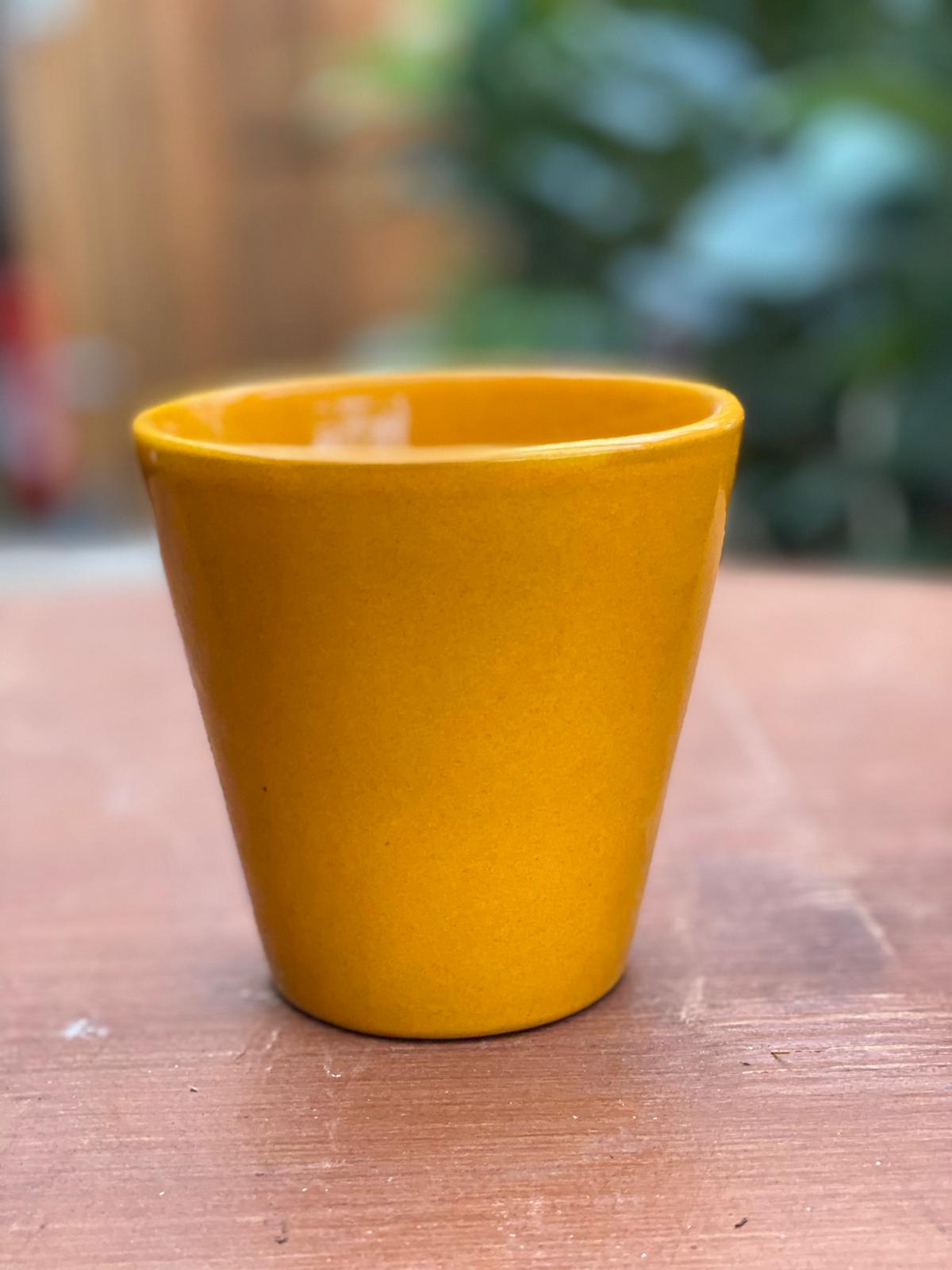 PEPINIERE DES ASPRES GRASSE 2024 ALPES MARITIMES JARDINERIE