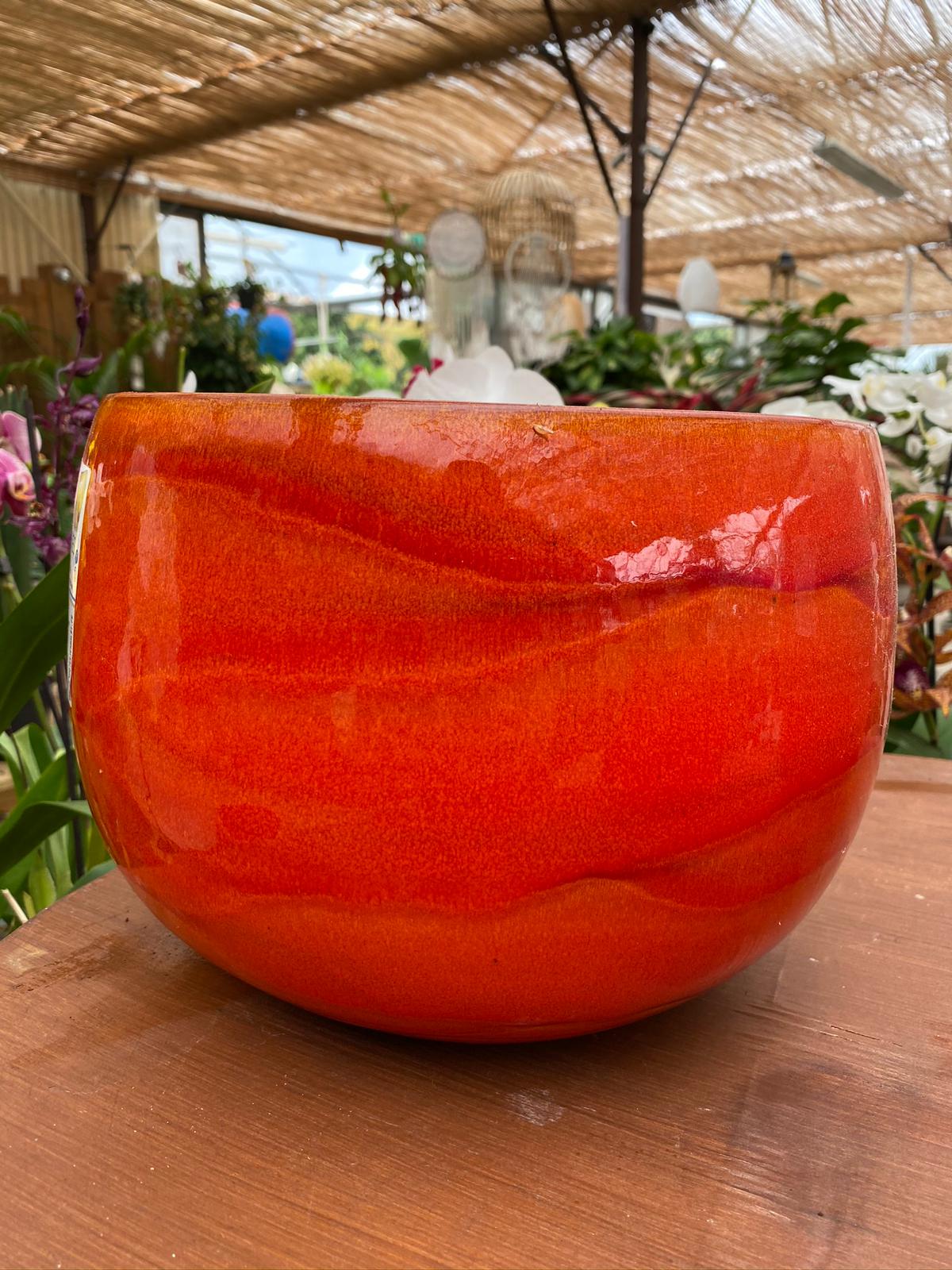 PEPINIERE DES ASPRES GRASSE 2024 ALPES MARITIMES JARDINERIE