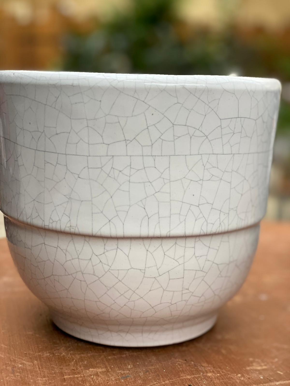 PEPINIERE DES ASPRES GRASSE 2024 ALPES MARITIMES JARDINERIE