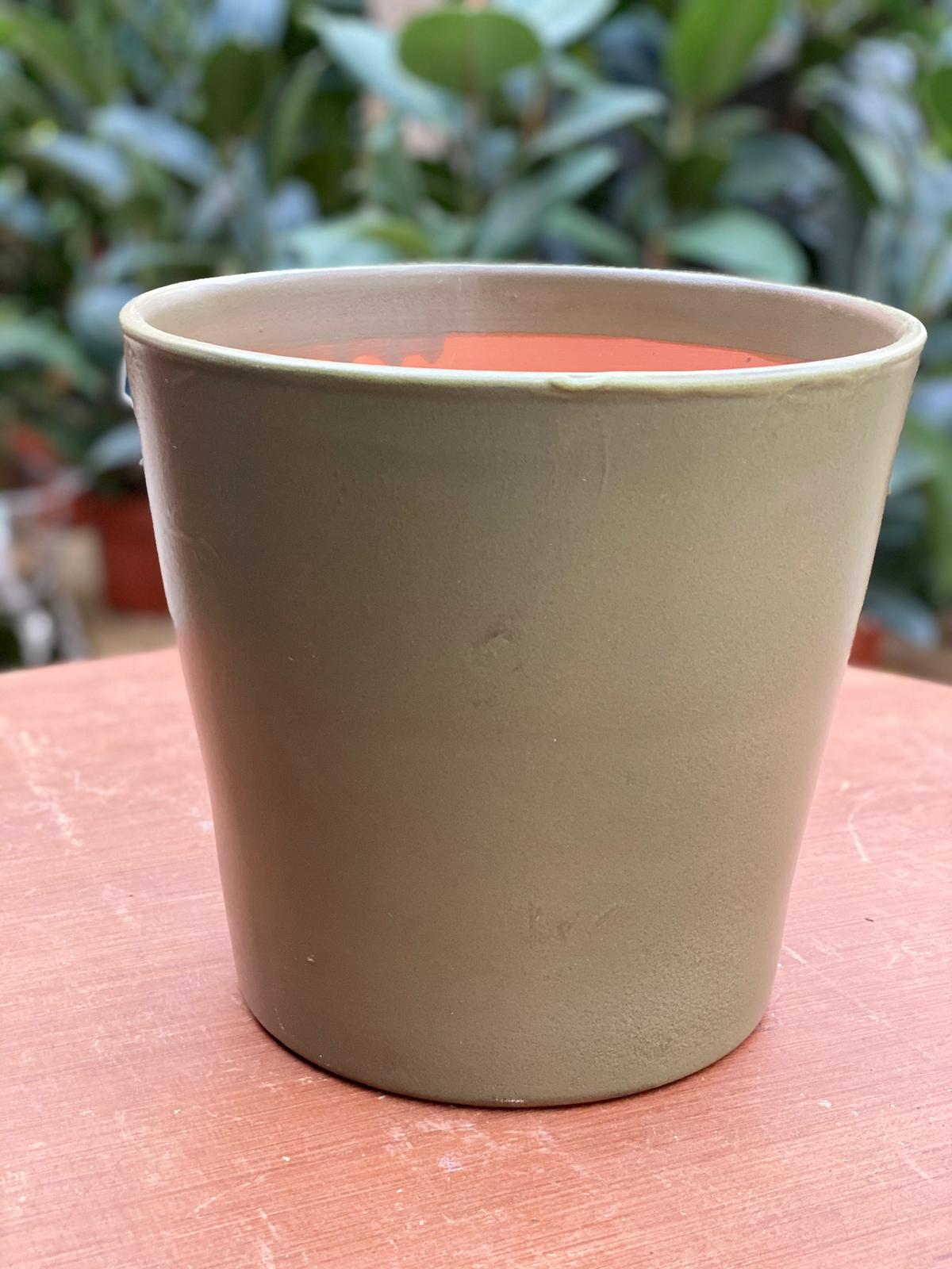 PEPINIERE DES ASPRES GRASSE 2024 ALPES MARITIMES JARDINERIE