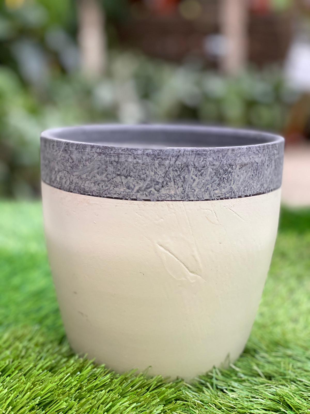 PEPINIERE DES ASPRES GRASSE 2024 ALPES MARITIMES JARDINERIE