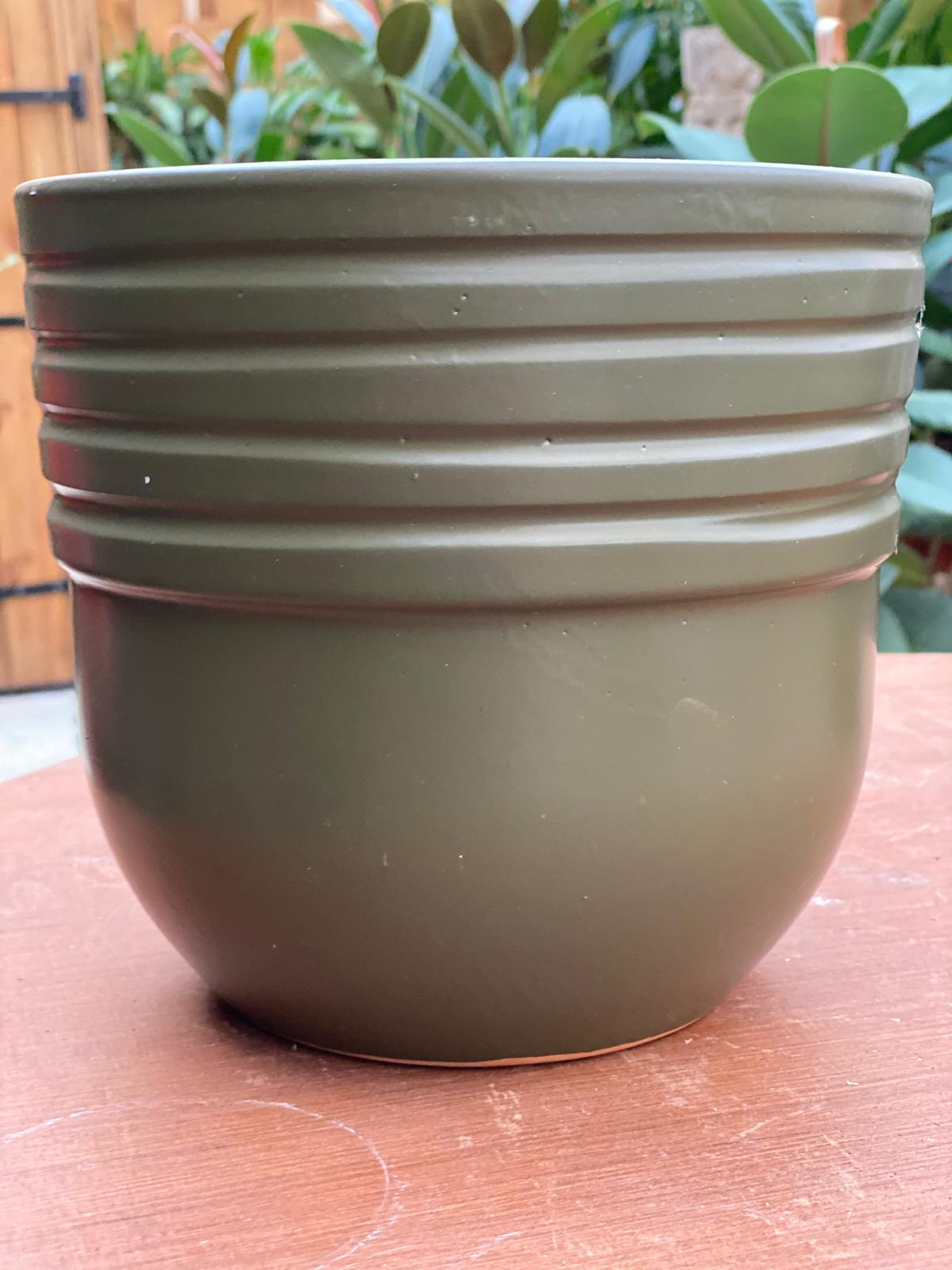 PEPINIERE DES ASPRES GRASSE 2024 ALPES MARITIMES JARDINERIE