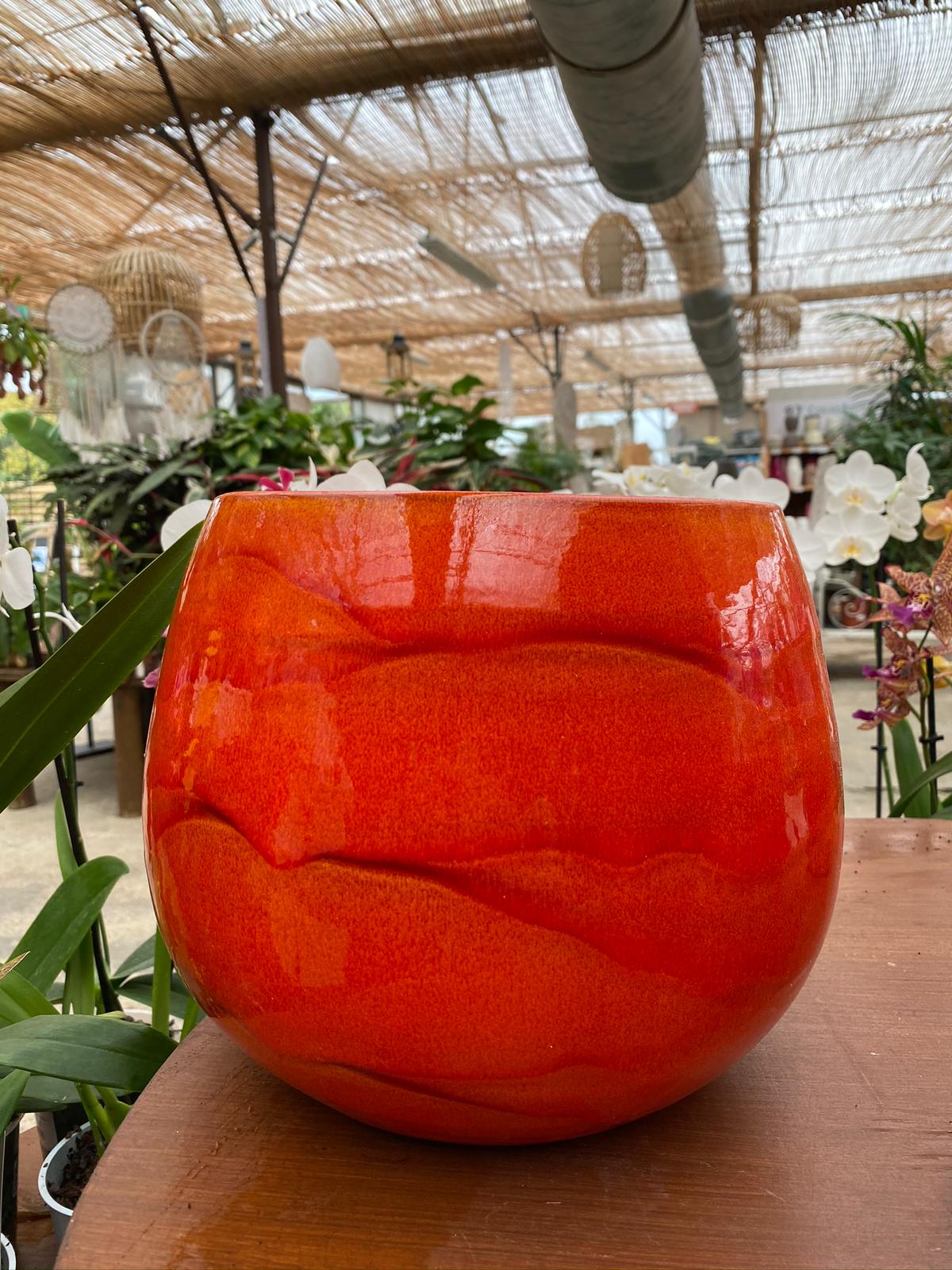 PEPINIERE DES ASPRES GRASSE 2024 ALPES MARITIMES JARDINERIE