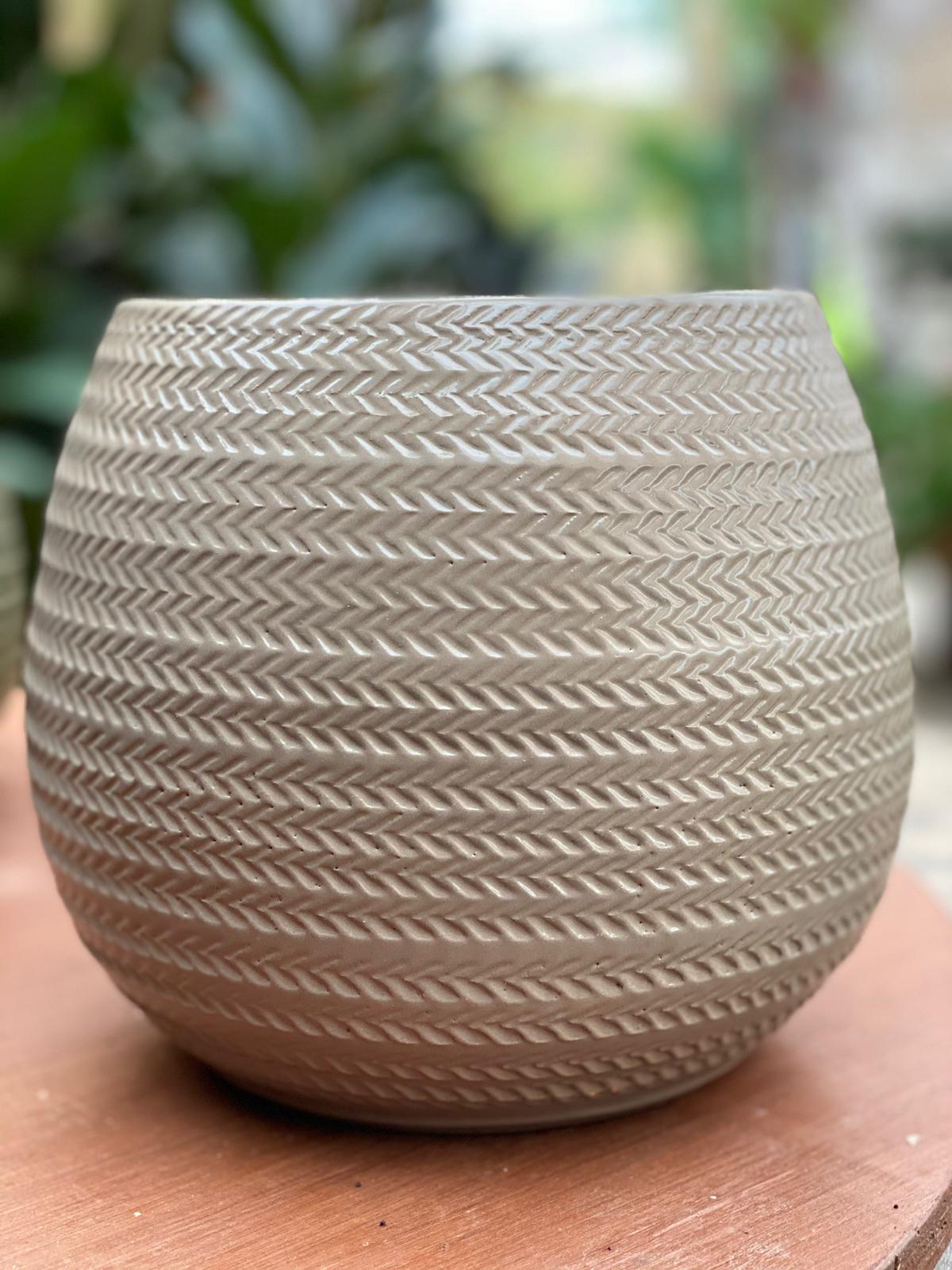 PEPINIERE DES ASPRES GRASSE 2024 ALPES MARITIMES JARDINERIE