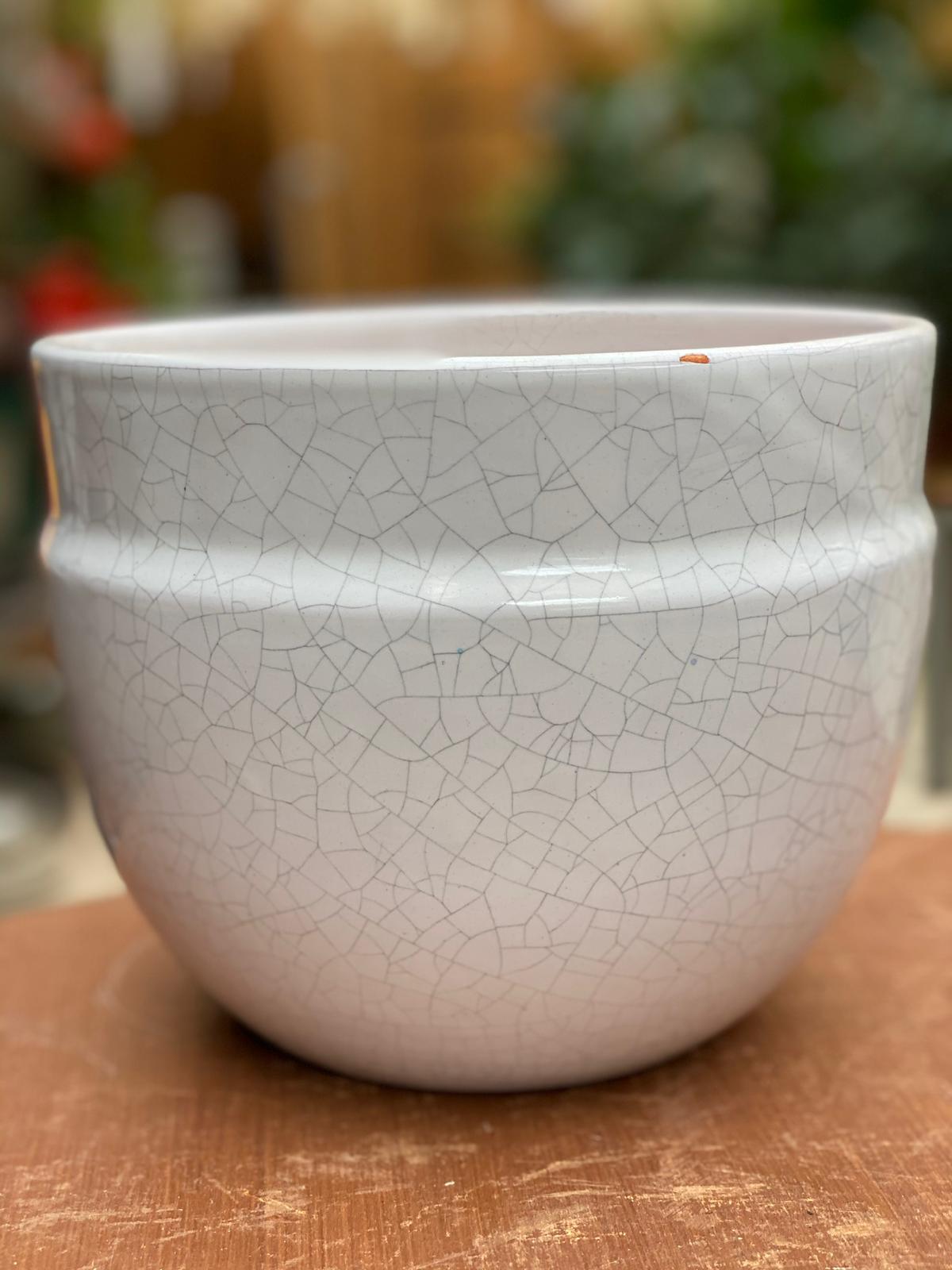 PEPINIERE DES ASPRES GRASSE 2024 ALPES MARITIMES JARDINERIE