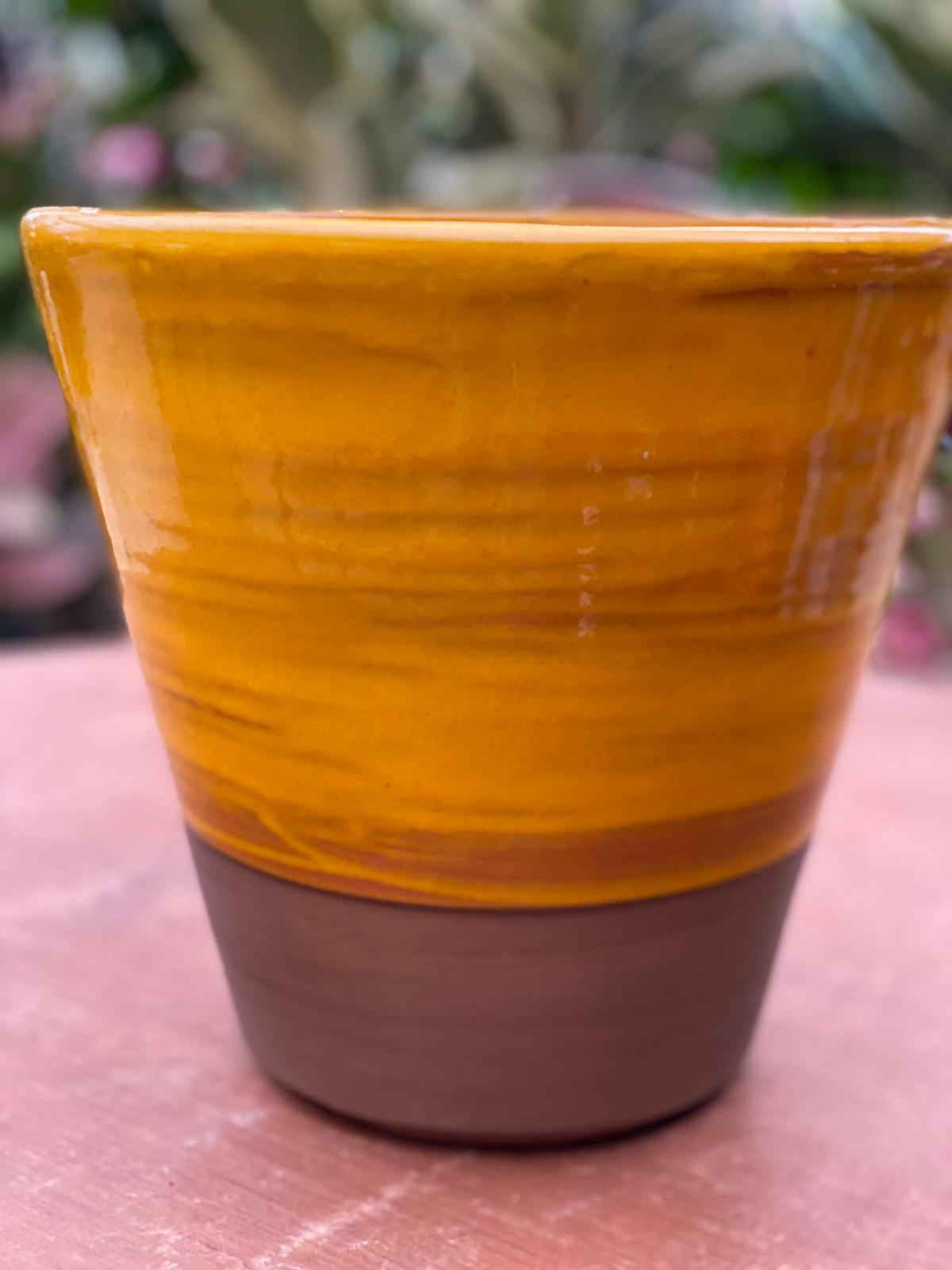 PEPINIERE DES ASPRES GRASSE 2024 ALPES MARITIMES JARDINERIE