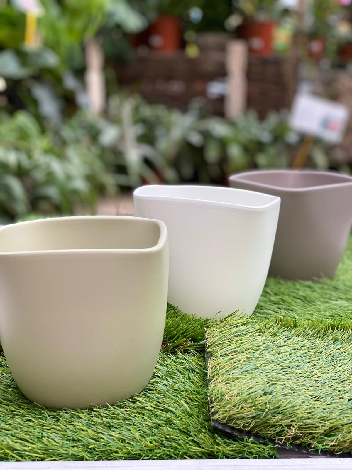 PEPINIERE DES ASPRES GRASSE 2024 ALPES MARITIMES JARDINERIE