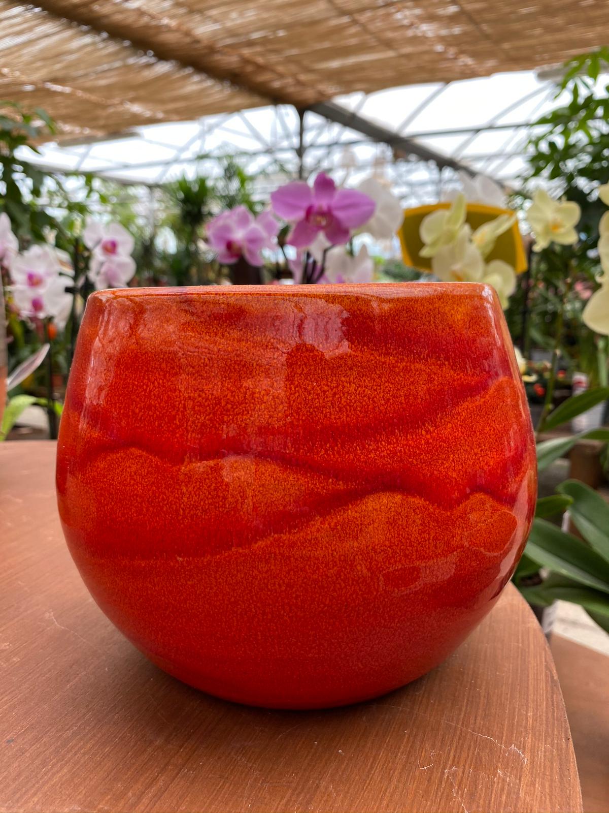 PEPINIERE DES ASPRES GRASSE 2024 ALPES MARITIMES JARDINERIE