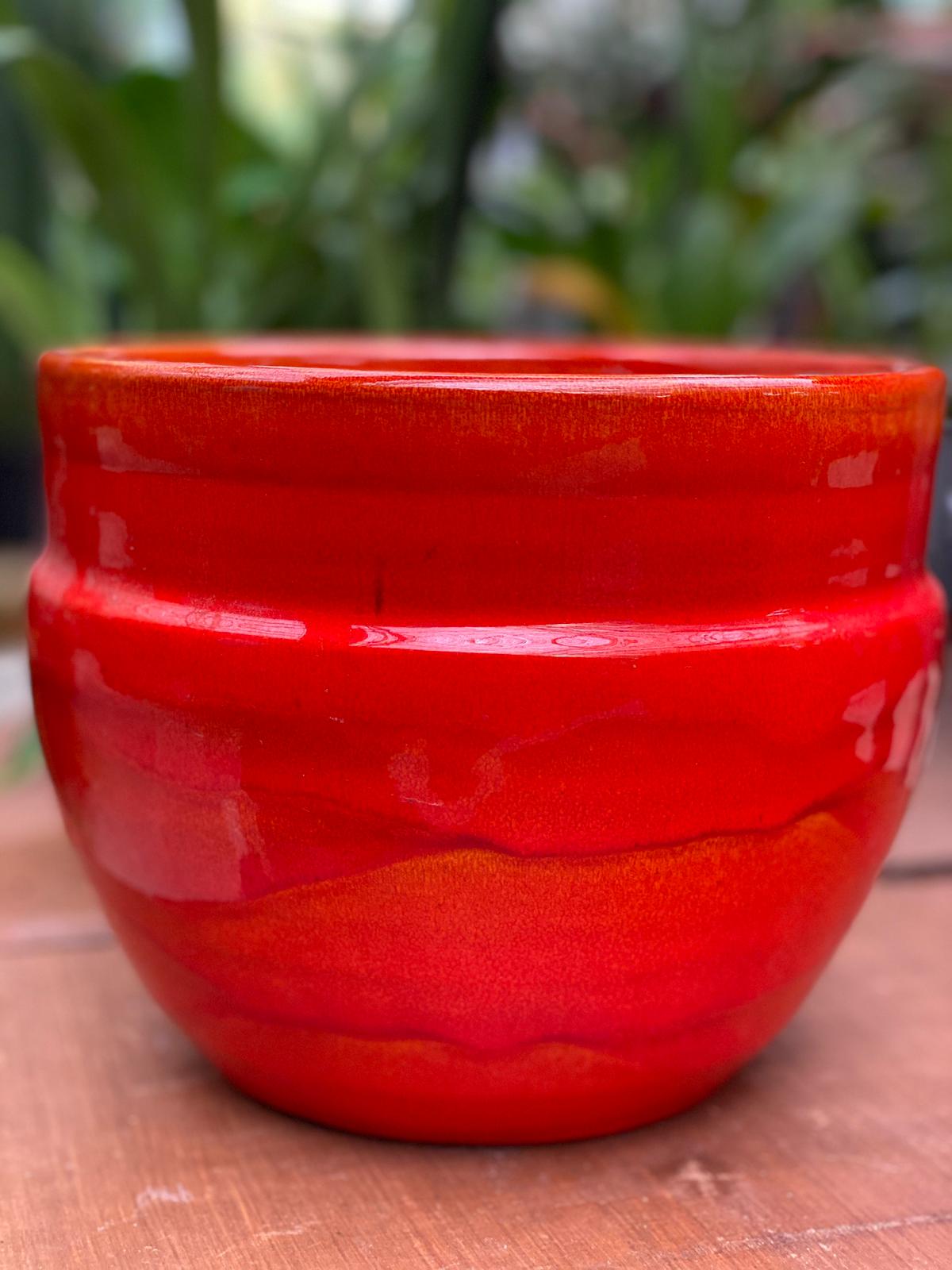 PEPINIERE DES ASPRES GRASSE 2024 ALPES MARITIMES JARDINERIE