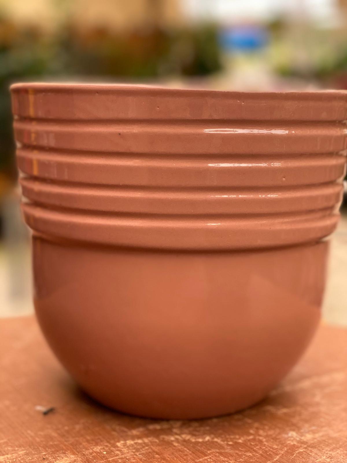 PEPINIERE DES ASPRES GRASSE 2024 ALPES MARITIMES JARDINERIE