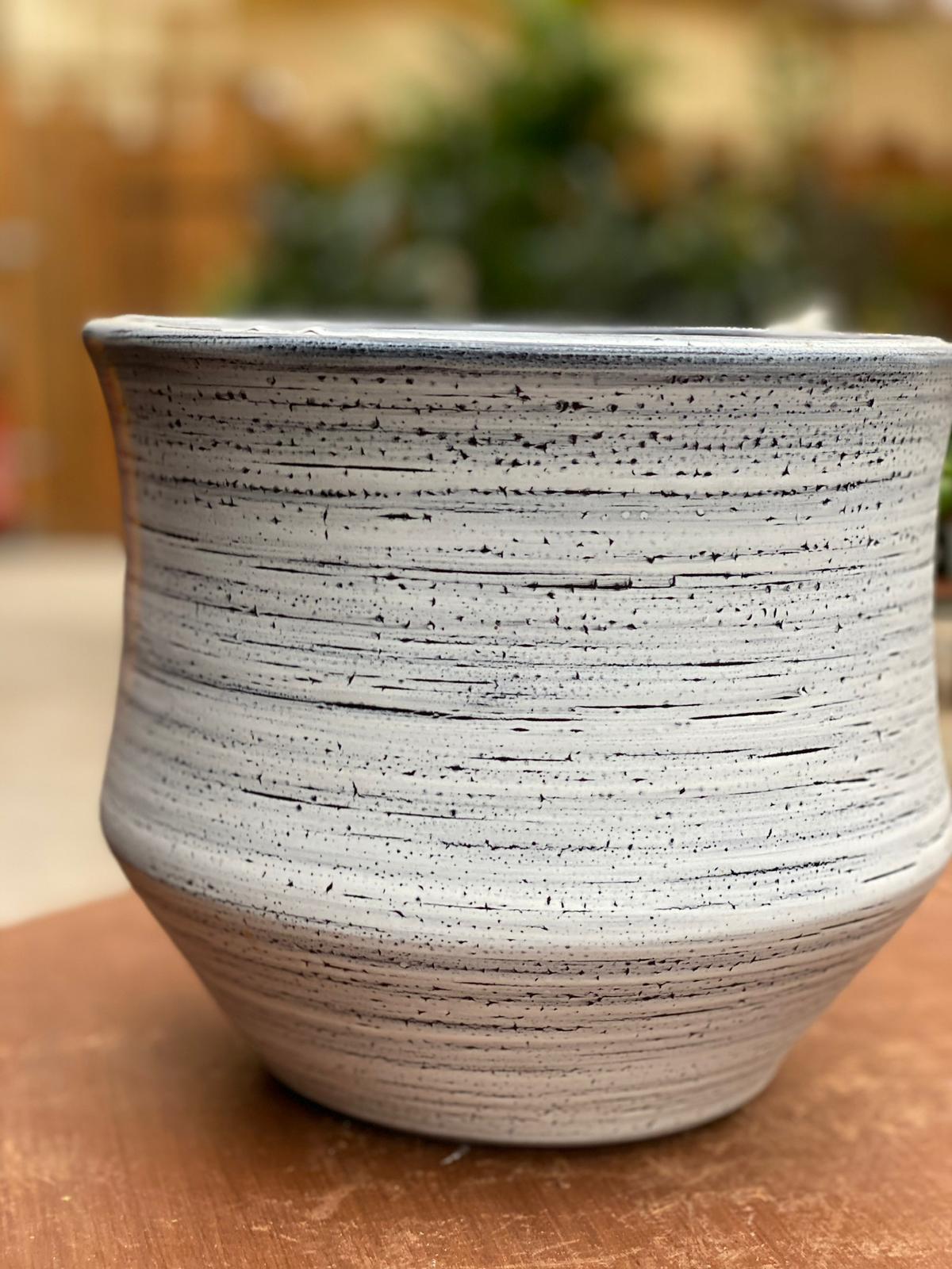 PEPINIERE DES ASPRES GRASSE 2024 ALPES MARITIMES JARDINERIE