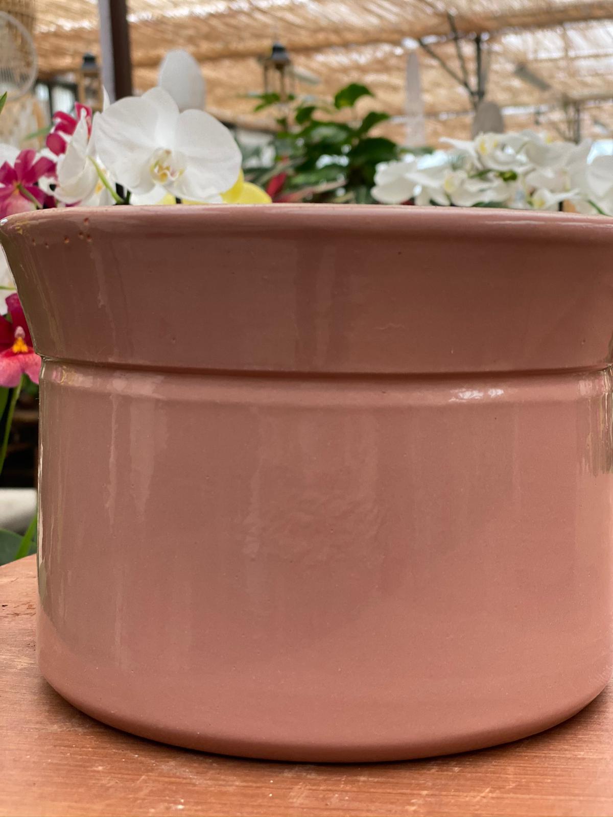 PEPINIERE DES ASPRES GRASSE 2024 ALPES MARITIMES JARDINERIE