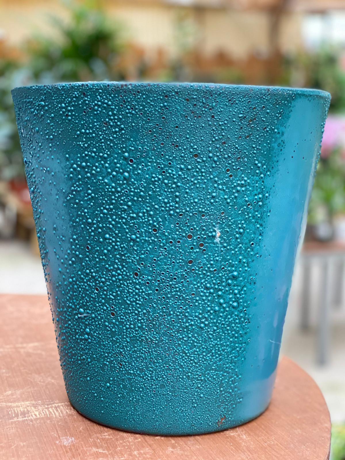 PEPINIERE DES ASPRES GRASSE 2024 ALPES MARITIMES JARDINERIE