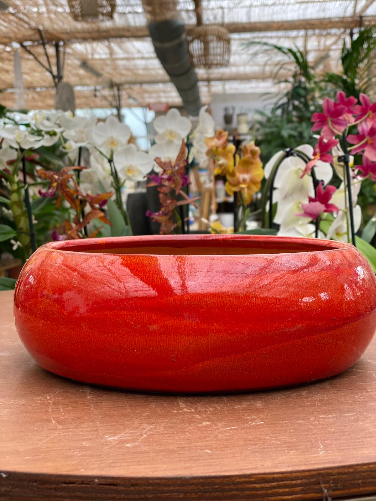 PEPINIERE DES ASPRES GRASSE 2024 ALPES MARITIMES JARDINERIE