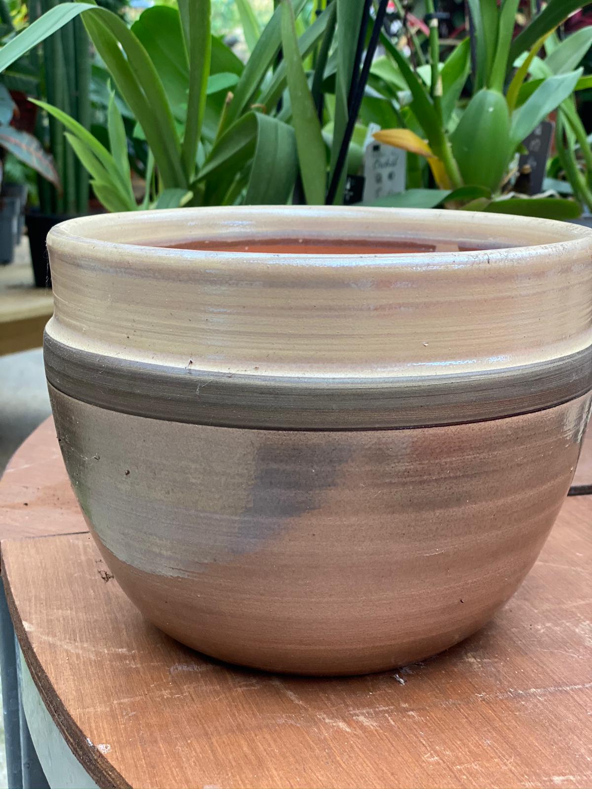 PEPINIERE DES ASPRES GRASSE 2024 ALPES MARITIMES JARDINERIE