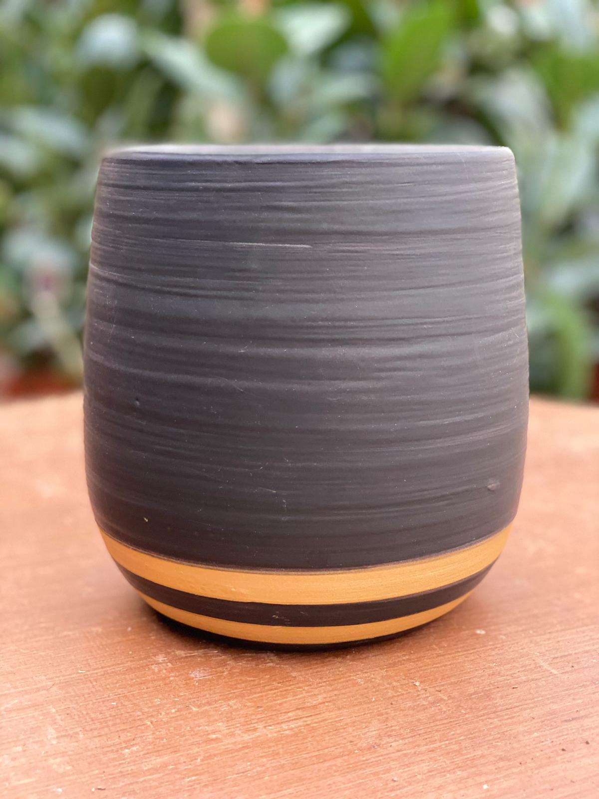 PEPINIERE DES ASPRES GRASSE 2024 ALPES MARITIMES JARDINERIE