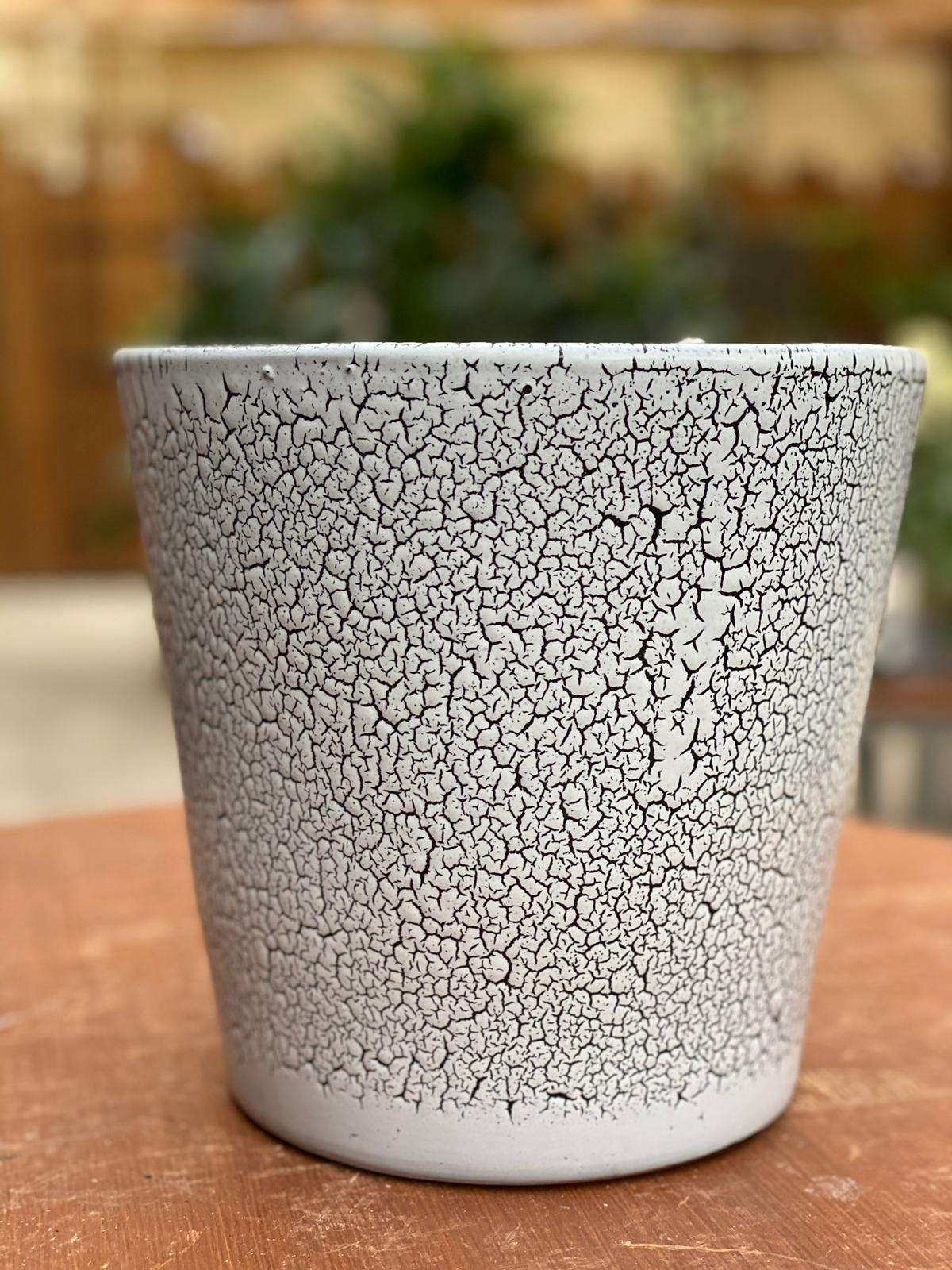 PEPINIERE DES ASPRES GRASSE 2024 ALPES MARITIMES JARDINERIE